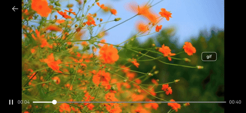 video_create_gif