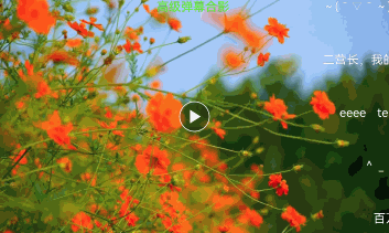 danmaku_example